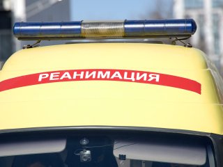 Пони сбил пожилую женщину в Уфе
