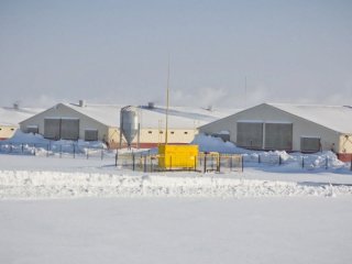 Радий Хабиров рассказал о создании агропромышленного кластера
