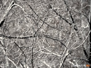 Сильные снегопады и метели ожидаются в Башкирии