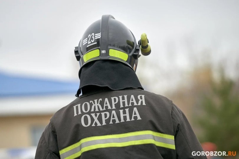 В Башкирии по вине кота чуть не сгорела комната в общежитии В Башкирии по вине кота чуть не сгорела комната в общежитии