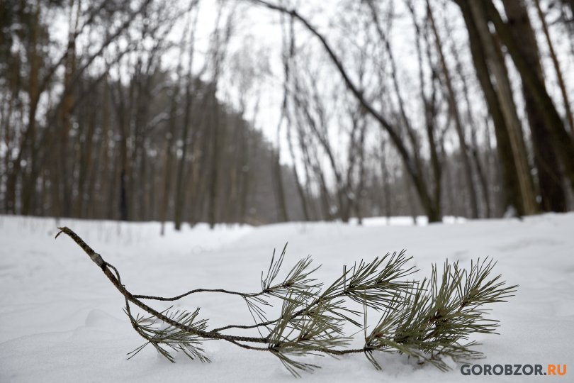 До -26° похолодает в Башкирии местами До -26° похолодает в Башкирии местами