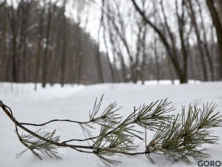 До -26° похолодает в Башкирии местами