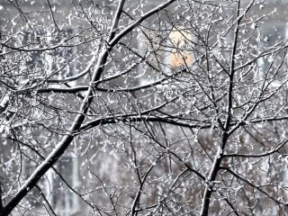 Небольшой снег и -2 градуса обещают жителям Башкирии в выходные