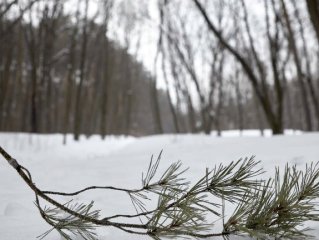 В Башкирии ожидается морозная погода