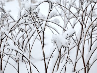 В Башкирии потеплеет до -1°