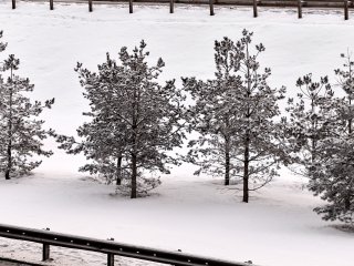 В Башкирии потеплеет до -2°