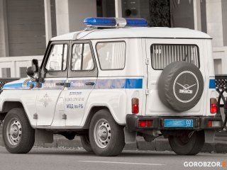 В Башкирии преступник выпрыгнул на ходу из полицейской машины и погиб