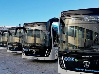 50 больших автобусов в рамках нацпроекта закупят для Уфы 