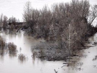 Уровень воды в двух реках в Башкирии вырос почти на метр за сутки
