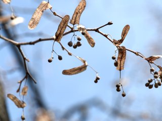 В Башкирии днем потеплеет до +5,+10°