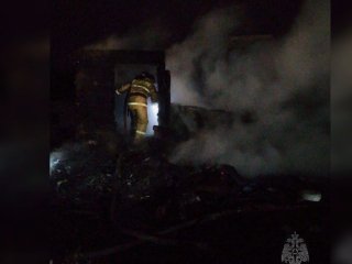 В Башкирии при пожаре в доме погибли женщина и ребенок