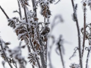В Башкирии температура опустится до -13 градусов