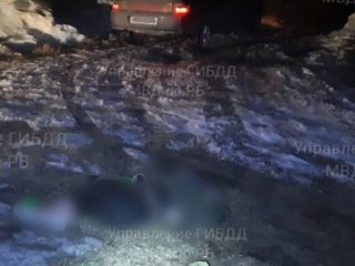 В Башкирии за сутки под колесами автомобилей погибли два пешехода