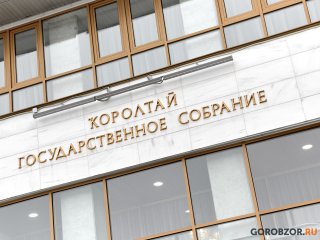 Депутаты Башкирии обратятся к министру здравоохранения России из-за ситуации с детьми-диабетиками