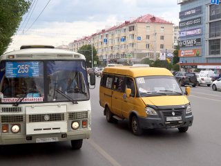 Госдума единогласно приняла предложенный Башкирией законопроект о нелегальных перевозчиках