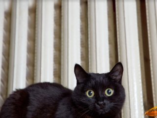 В Башкирии на этой неделе начнут отключать отопление
