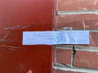 В Башкирии в шаурме нашли сальмонеллу