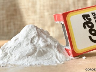 В Башкирской содовой компании пояснили, что значит передача госпакета акций