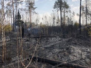 Полицейские нашли виновника лесного пожара на 40 га, произошедшего в минувшие выходные в Башкирии