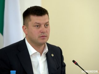 Ратмир Мавлиев возмутился бегающими по Уфе лосями