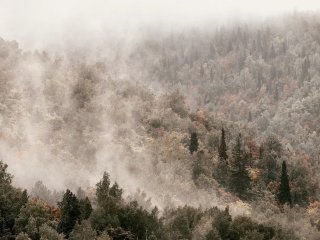 Башкирию окутает густой туман