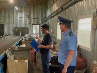 Прокуратура Башкирии проводит проверку по факту обнаружения тела новорожденного