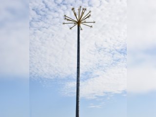 В Башкирии открыли памятник кураю