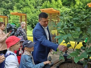 В уфимском парке Лесоводов высадили экзотические деревья