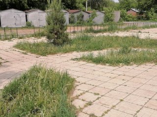 Жительница Уфы пожаловалась на отсутствие уборки в сквере