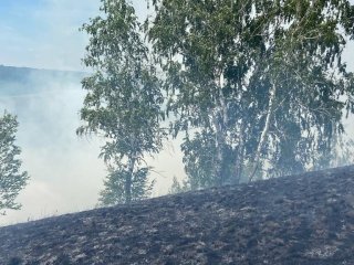 До 7 июля в ряде районов Башкирии ожидается чрезвычайная пожароопасность