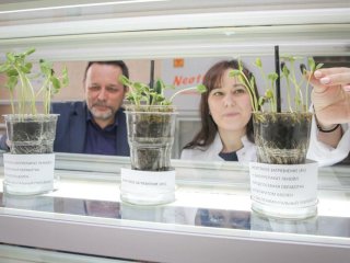 «Можно гордиться»: профессор РАО рассказала, как Евразийский НОЦ трансформирует науку и образование