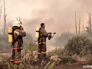 В Башкирии благодаря 25 спасателям потушили последний лесной пожар
