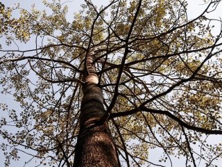 В Башкирии похолодает до +9 градусов