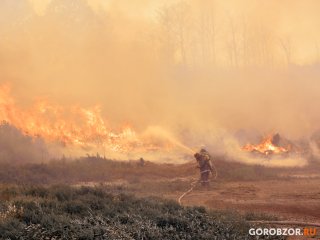В Башкирии полностью ликвидировали лесные пожары