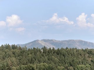 В Башкирии трое 22-летних парней заблудились в лесу