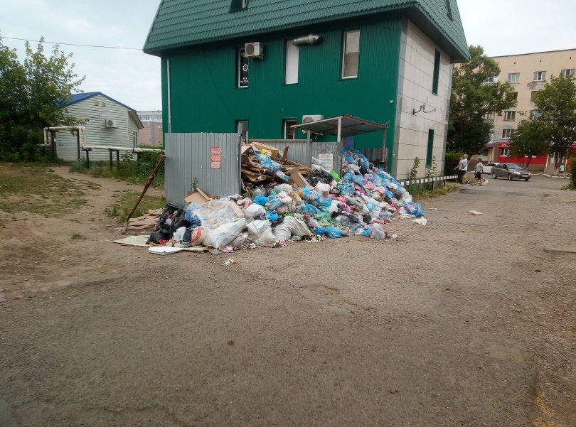 Жители еще одного города в Башкирии пожаловались на невывоз мусора в течение нескольких недель Жители еще одного города в Башкирии пожаловались на невывоз мусора в течение нескольких недель
