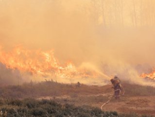 Чрезвычайная пожароопасность в Башкирии сохранится до 8 сентября