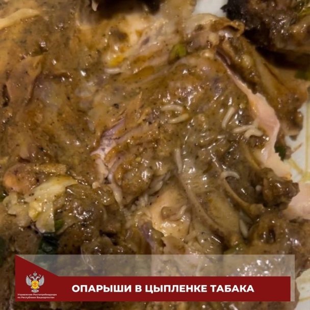 Цыпленка табака с опарышами продали жителю Башкирии в супермаркете Цыпленка табака с опарышами продали жителю Башкирии в супермаркете