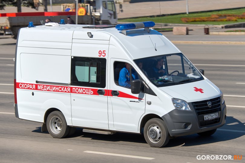 В Башкирии 16-летнюю девочку укусила ядовитая змея В Башкирии 16-летнюю девочку укусила ядовитая змея