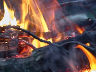 В районе Башкирии сжигали трупы лошадей рядом с родником