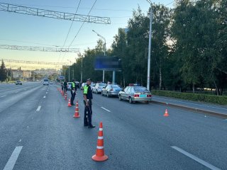 В Уфе поймали пятерых пьяных водителей