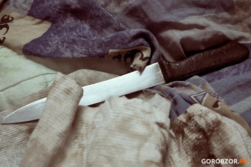 Жительница Башкирии зарезала мужа за попытку изнасилования Жительница Башкирии зарезала мужа за попытку изнасилования