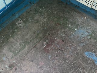 Жительница пятиэтажки в центре Уфы пожаловалась, что в подъездах их дома месяцами не моют полы