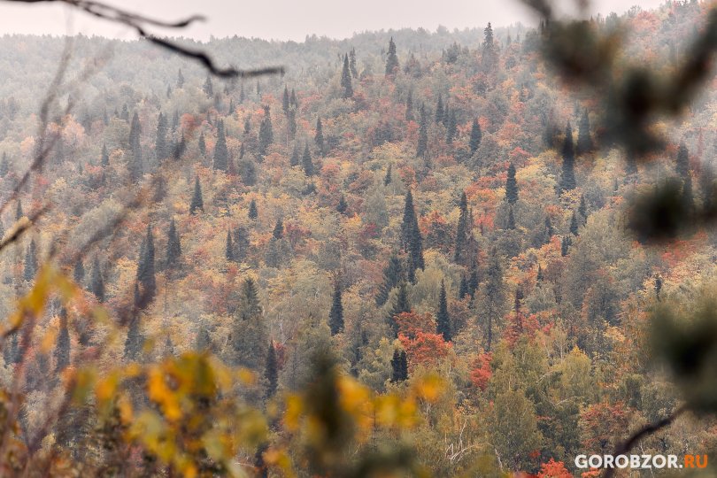 В Башкирии ночью пропали два школьника 10 и 11 лет В Башкирии ночью пропали два школьника 10 и 11 лет