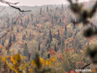 В Башкирии ночью пропали два школьника 10 и 11 лет