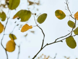 В Башкирии резко похолодает