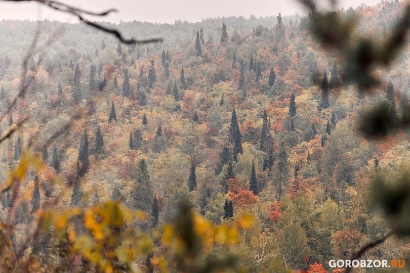 В Башкирии три человека заблудились в лесу В Башкирии три человека заблудились в лесу