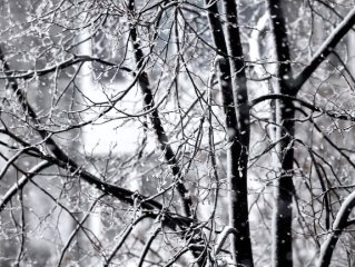 В последние дни октября в Башкирии ожидаются дожди и снег