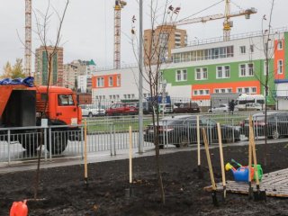 В Уфе появилась «Парламентская аллея»