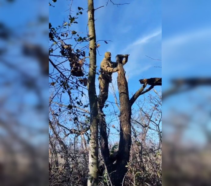 Добровольцы из башкирского батальона спасли кота Добровольцы из башкирского батальона спасли кота